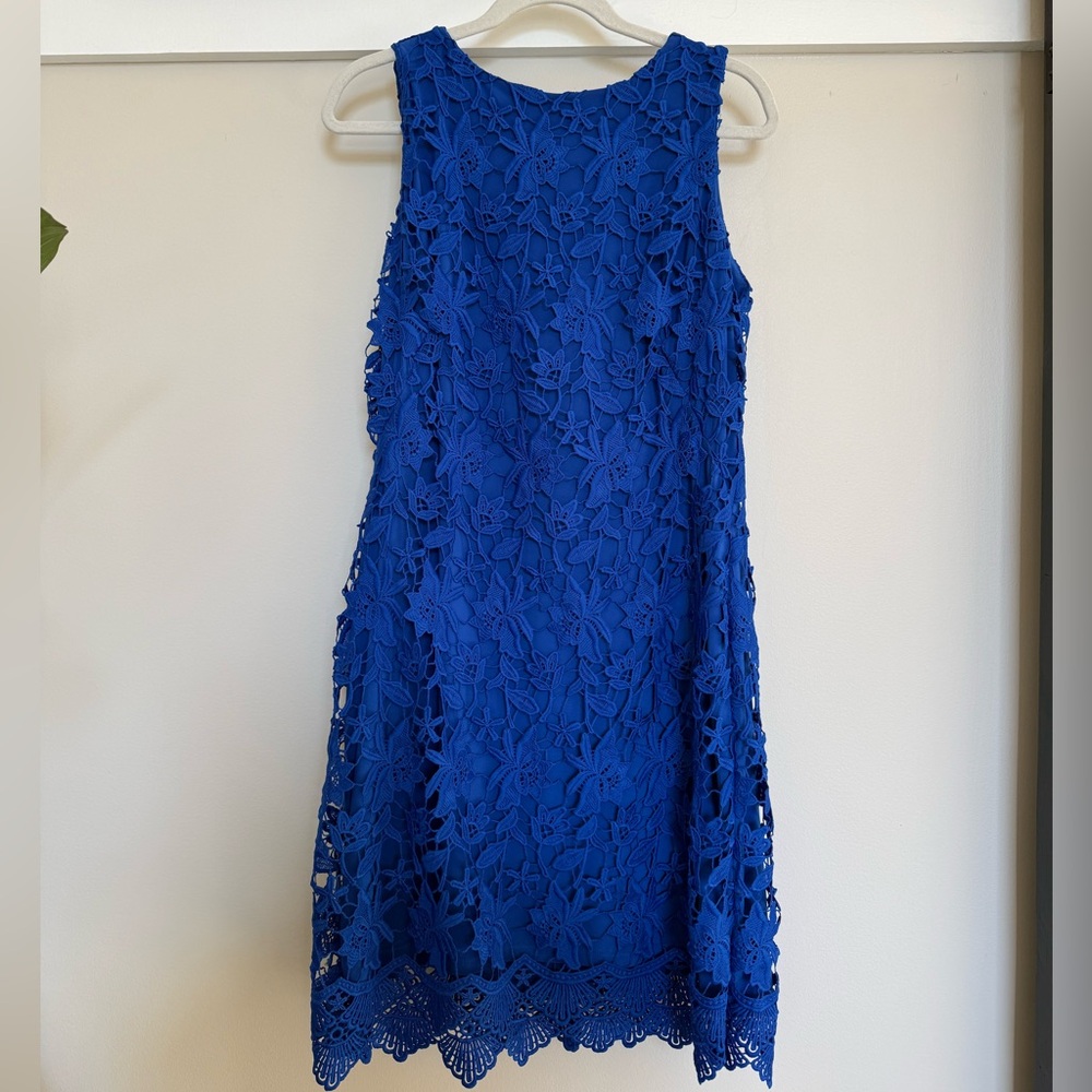 Lauren Ralph Lauren Royal Blue Lace Mini Dress
